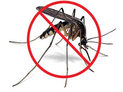 Mosquito Control Treatment in Pune